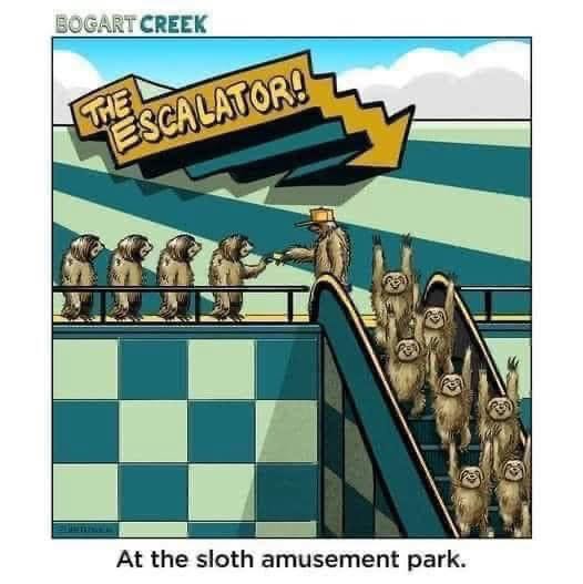 It's an amusement park for sloths, so obviously the escalator is the main attraction. Took them forever to get there.