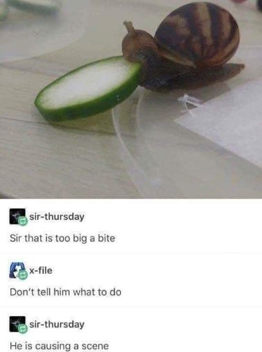 Me trying to take on more than I can handle, but confidently.