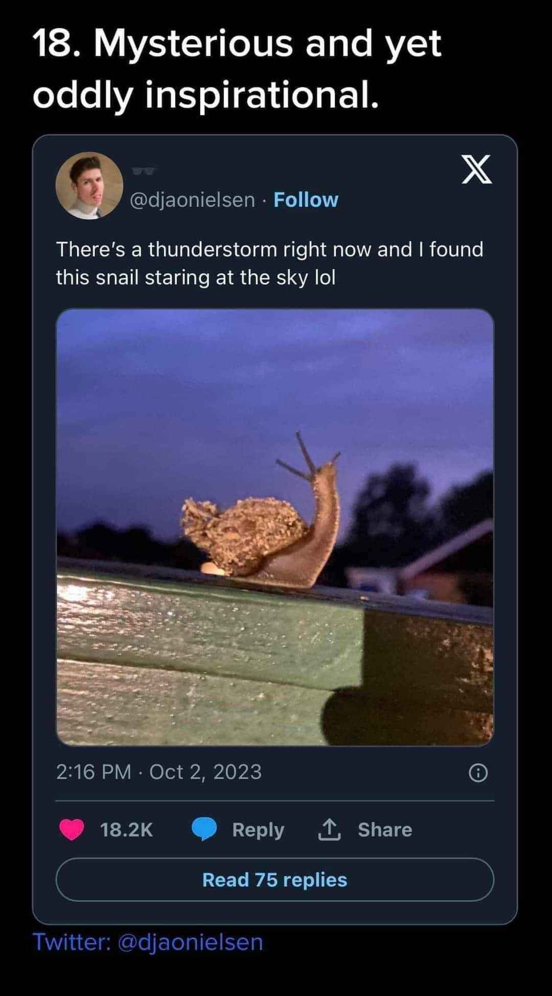 This snail is out here contemplating existence during a thunderstorm, same