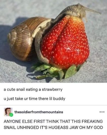 OMG, I thought this snail was unhinging its jaw to eat that strawberry whole 😭