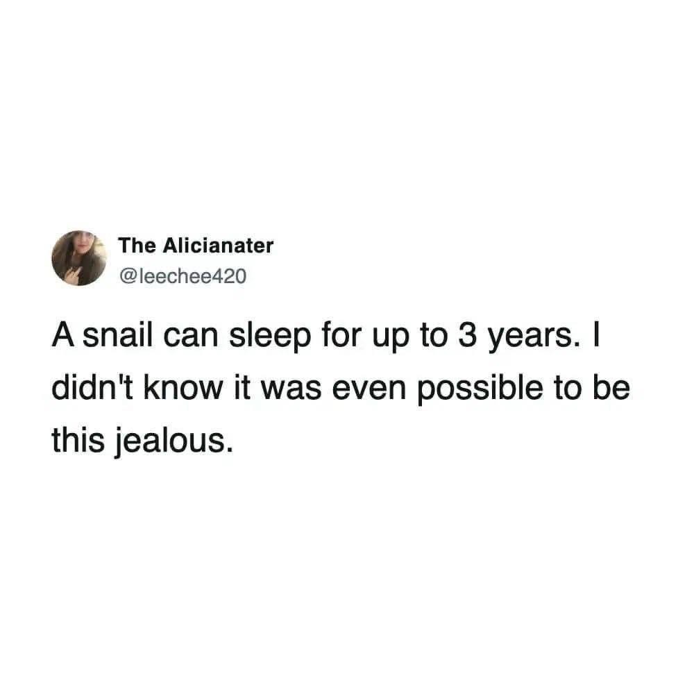 OMG, snails can sleep for 3 years?? I wish I had that superpower