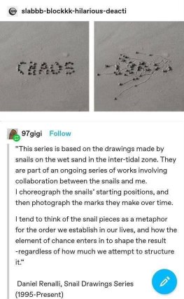 Some snails were asked to spell out 'chaos' but ended up making... more chaos.