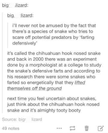 This snake farts so hard it lifts itself off the ground. My kinda superpower.