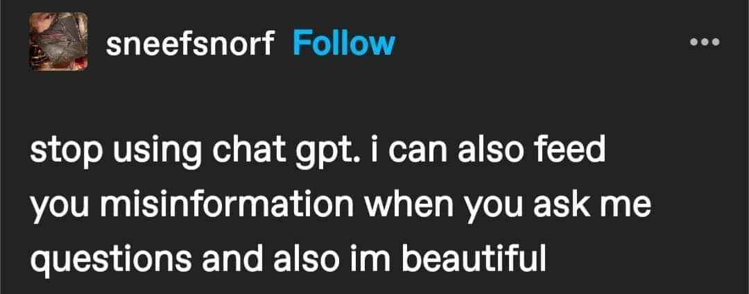 This person is saying that instead of using ChatGPT, you should ask them questions because they can also give you misinformation and they're beautiful.