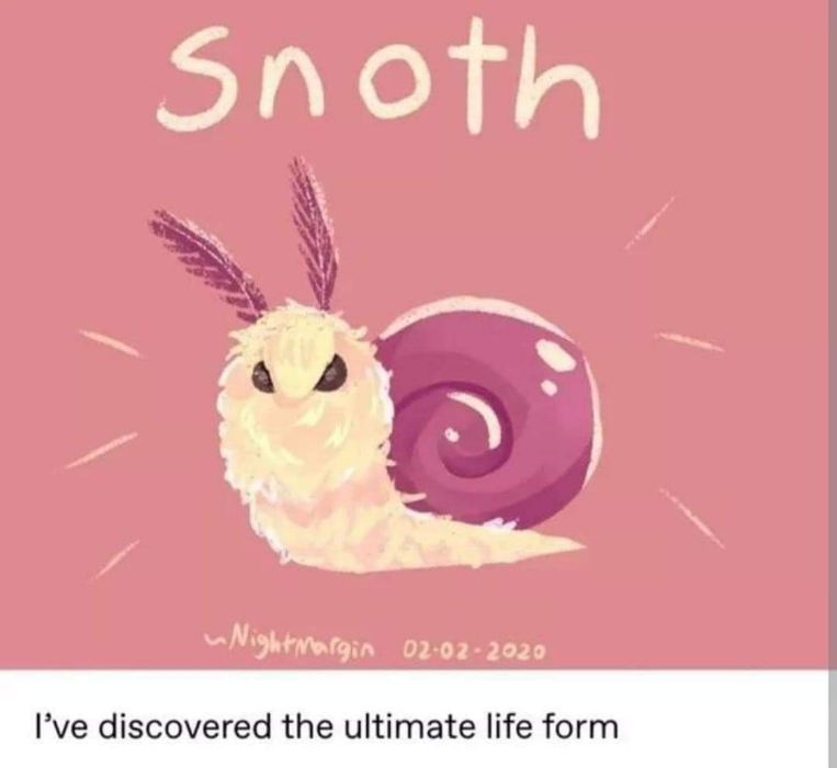Me after eating a whole bag of chips and realizing I still have to go to work tmrw. This perfect creature is called a snoth.