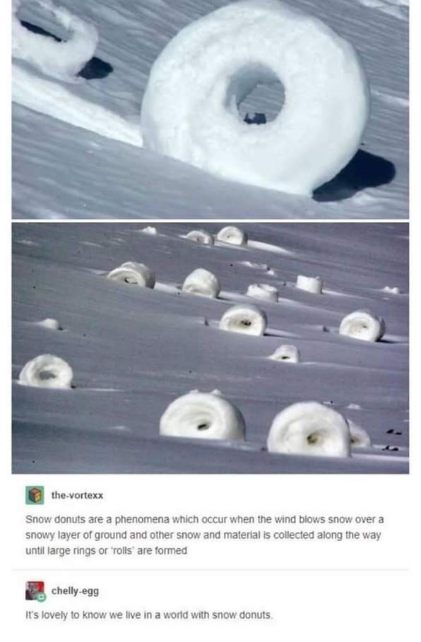 Wait, are these snow donuts or did someone just leave giant pastries on the slopes?
