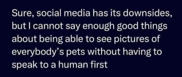 Social media is great for seeing pet pics without human interaction, NGL.