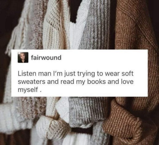 My aesthetic is basically just this quote about wanting to wear soft sweaters and read.