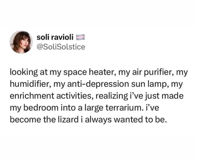 When you over-optimize your bedroom and realize you've basically become a pampered lizard in a terrarium.