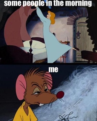 Some people wake up all cheerful and ready to go, while me? I feel like a grumpy mouse.