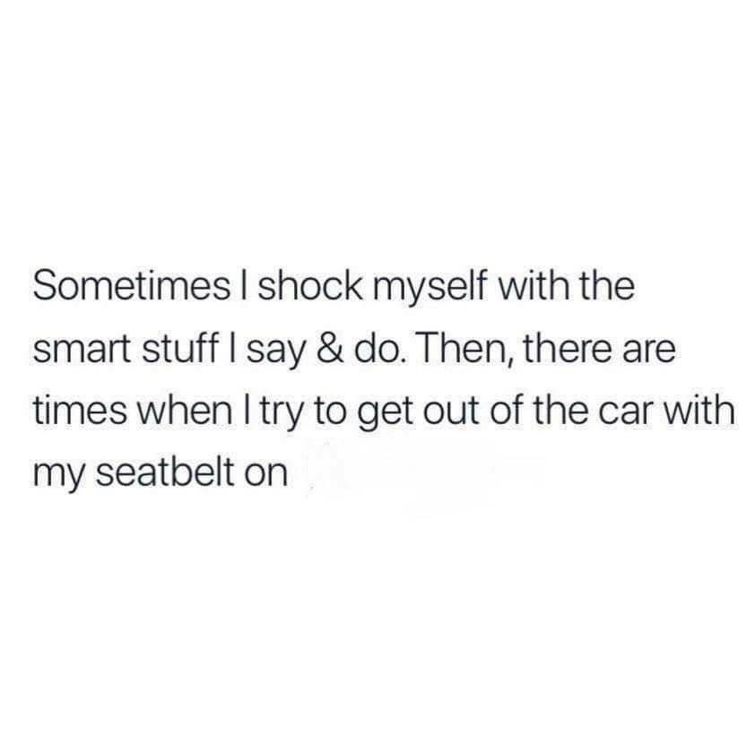 Me trying to exist on a daily basis, some days I'm a genius, other days I forget my seatbelt.