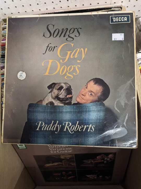 Is this album for gay dogs or did Paddy Roberts just really like dogs and gay people?