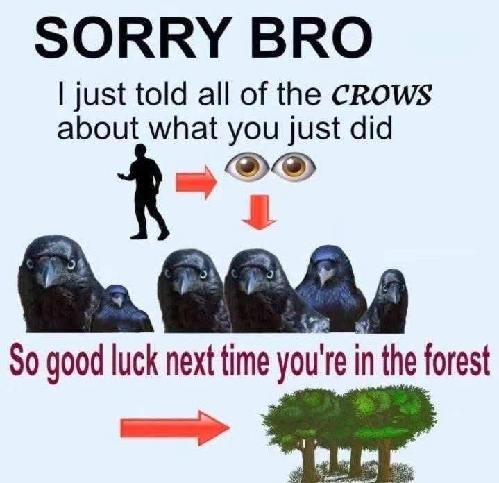 When you snitch on your friend and now a whole flock of crows knows your business