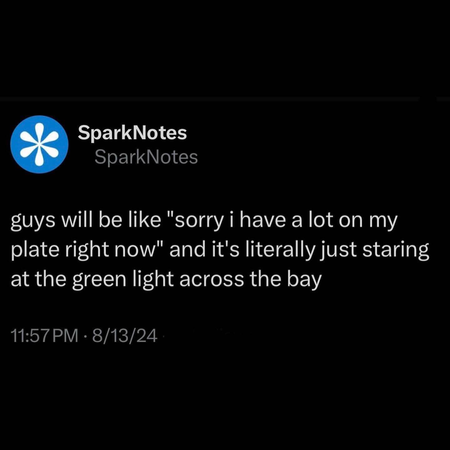 Men really be saying they have a lot on their plate when they're just staring at a traffic light