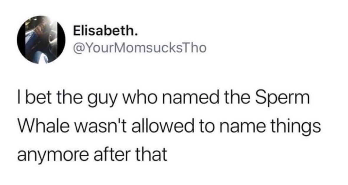Pretty sure the person who named the Sperm Whale lost all naming privileges after that