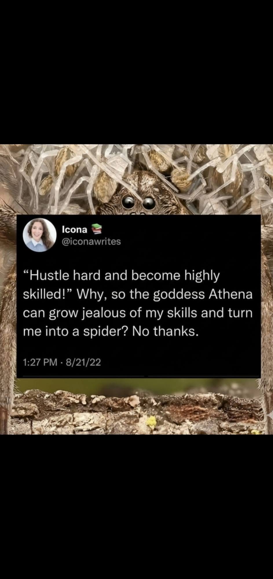 Me thinking about the extreme lengths I'll go to avoid becoming a spider who's good at weaving.