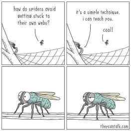 Spider explains how they don't get stuck in their own webs and the fly is not impressed