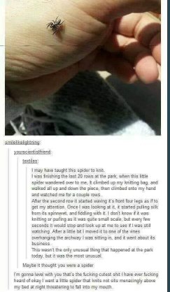 This person thinks a spider was knitting with them?? And then they want a spider to sleep next to them??