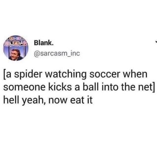 It's like a spider watching soccer and gets to eat the ball after it's kicked into the net, lol
