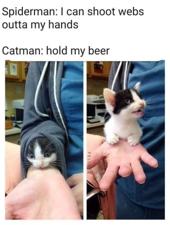 When you think you're impressive but then your cat does something way cooler