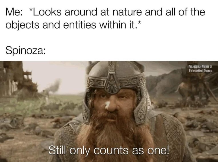 When you're high and Spinoza tells you it's all just one thing