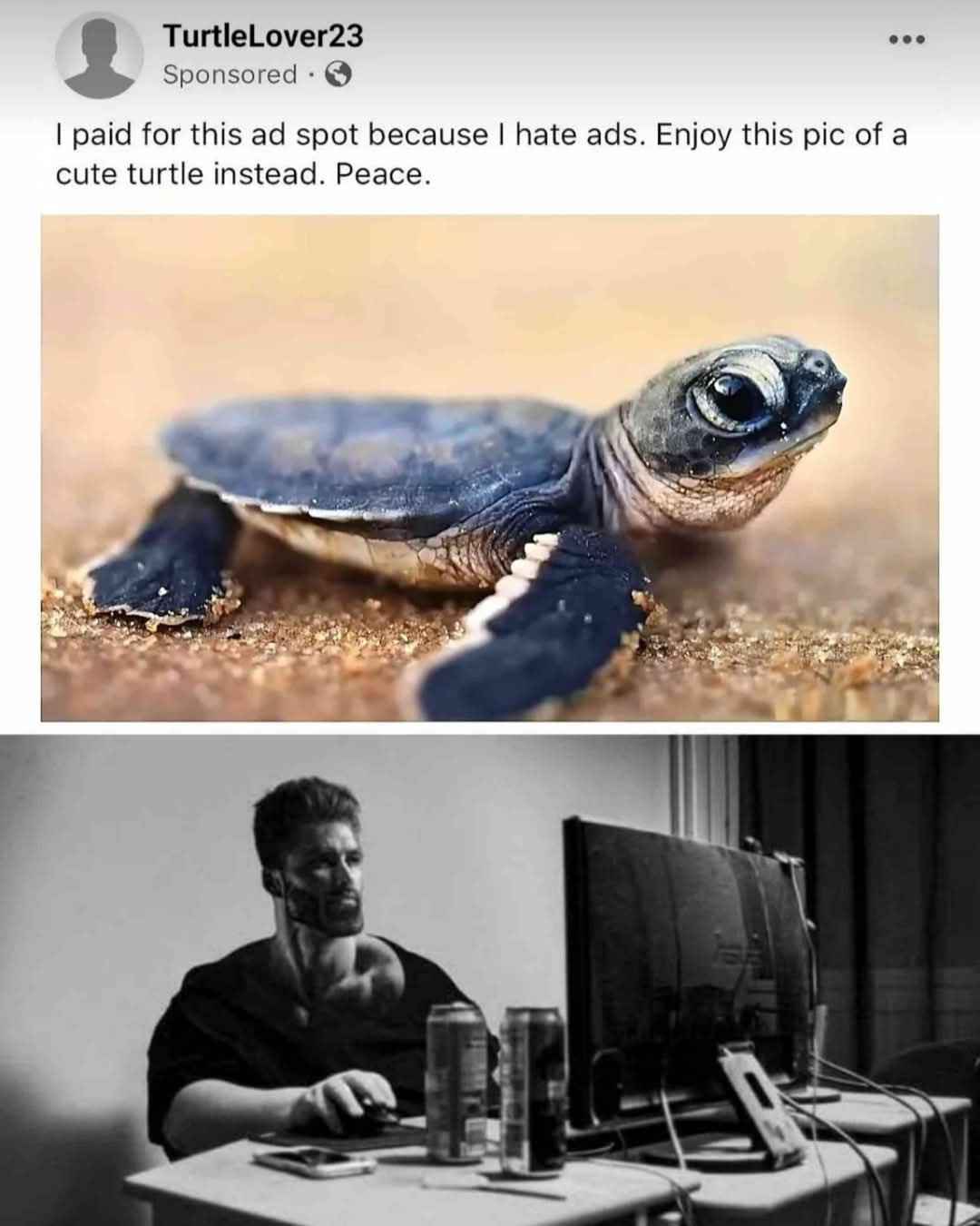 When you pay for an ad to avoid ads and just show a cute turtle instead