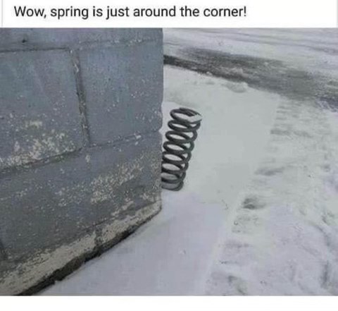 OMG this is actually spring arriving on a literal spring. 
It's happening