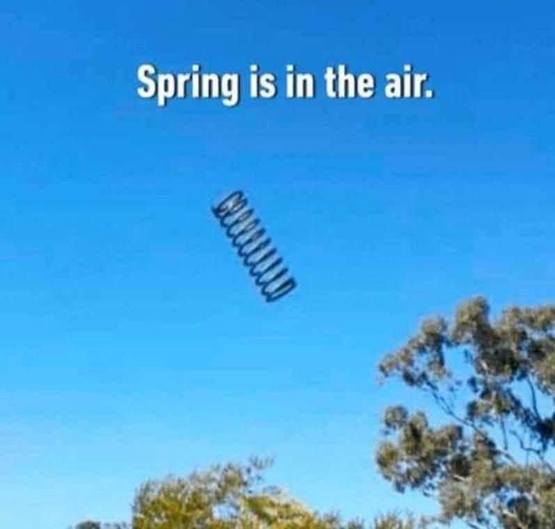 Lol get it? Spring is in the air. The actual spring.