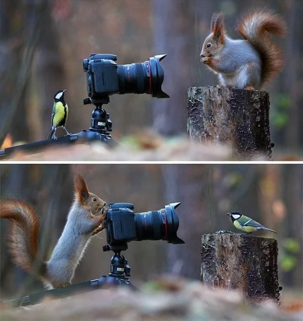 When you try to set up a cute nature photoshoot but your friend keeps photobombing