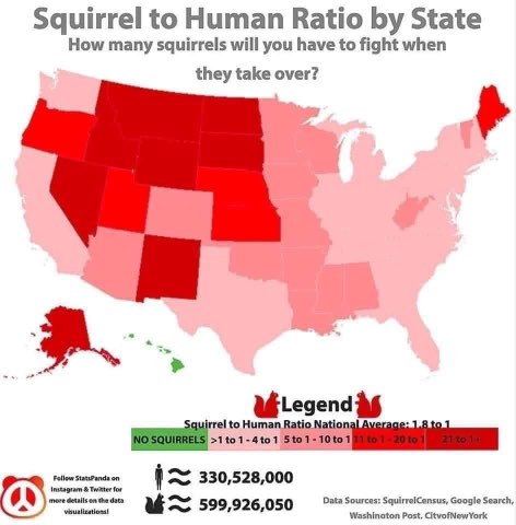 Looks like some states are gonna be way harder to live in when the squirrel apocalypse finally hits