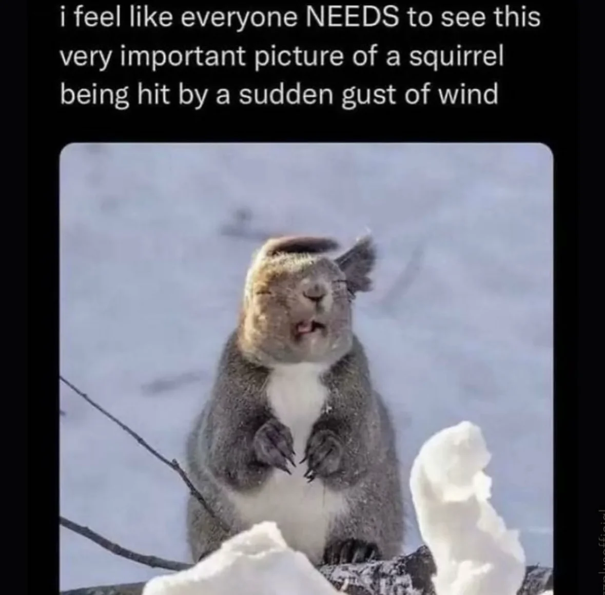 When you forgot to zip up your jacket and a cold wind hits you