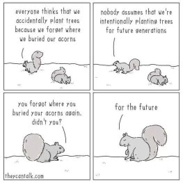 Squirrels admitting they just forget where they bury nuts lol