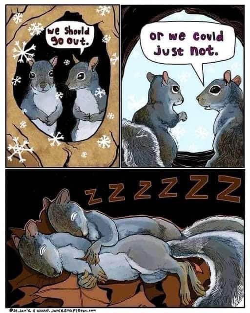 When you suggest going out but your friend just wants to nap instead