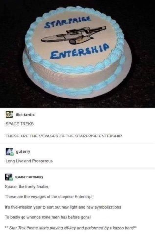Someone really messed up the Star Trek cake and the fanfic that followed is legendary