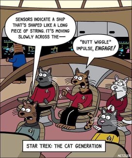 Star Trek but the crew are cats and the ship is a piece of string... sounds about right.