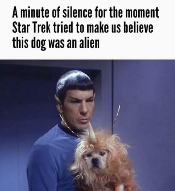Star Trek really thought we'd buy that a dog was an alien