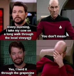Captain Picard losing it when Riker makes a dad joke about herding cows through the vineyard. "I herd it through the grapevine"