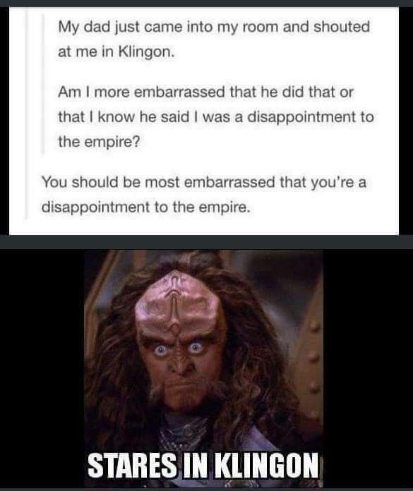My dad shouted at me in Klingon and called me a disappointment to the empire. This Klingon dude is not impressed.