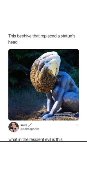 Is this a cursed beehive head or a new Resident Evil enemy, I can't tell