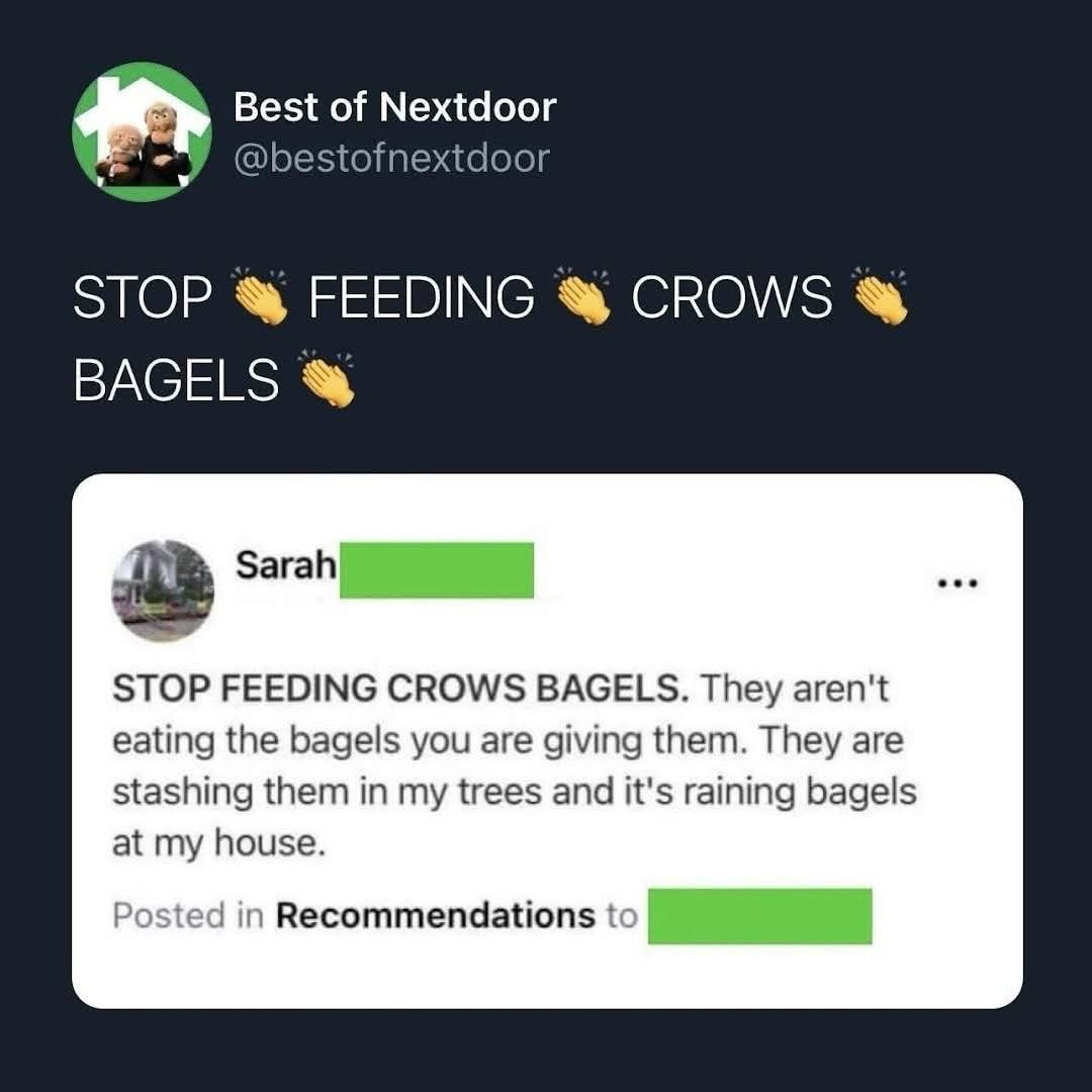 Someone's really upset about crows stashing bagels in their trees. Like, it's raining bagels.