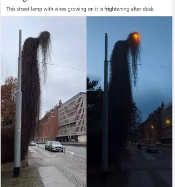 This street lamp looks like it's about to whisper ancient secrets to you after dark