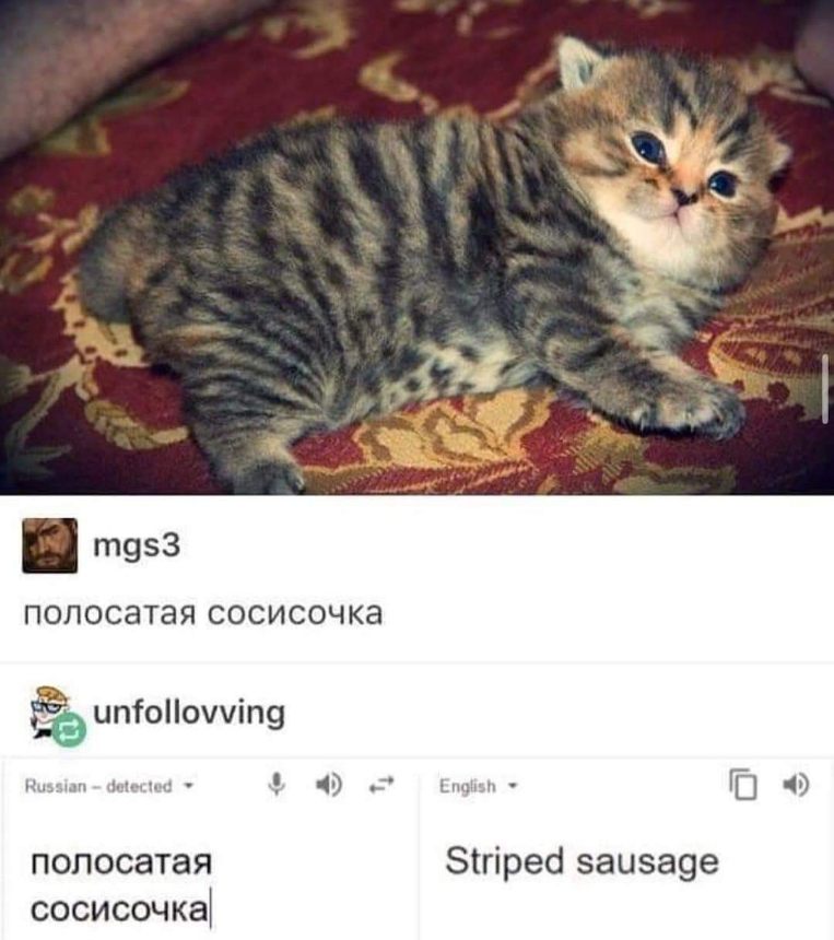 The cat is stripey so it's a striped sausage, I guess?