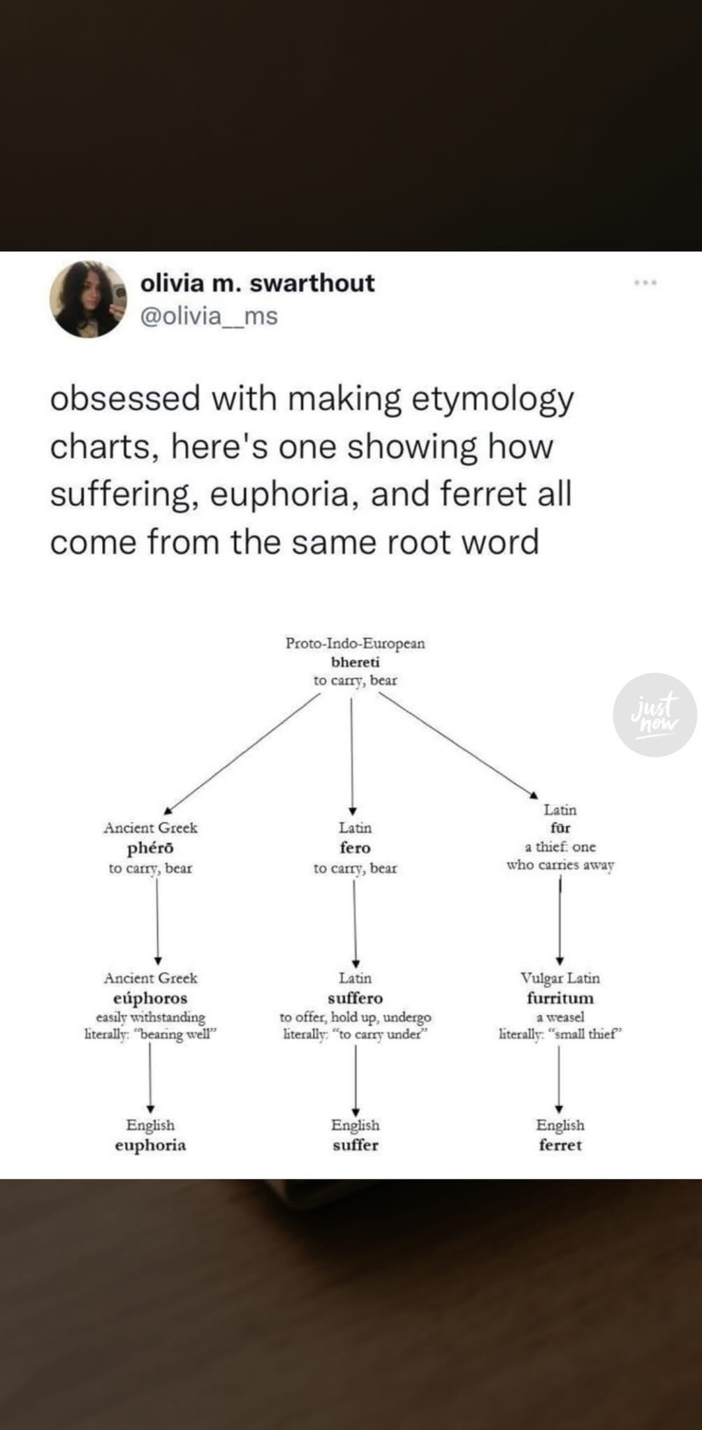 Wait, so euphoria and suffering come from the same root word as ferrets?