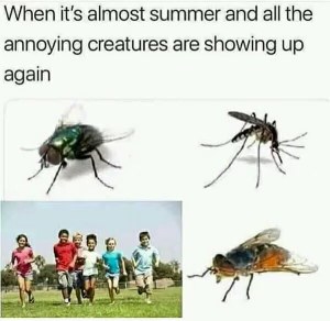 Ugh, summer's almost here and guess who's back?