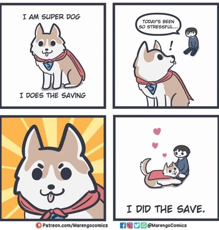 When your dog is literally a superhero and saves your day.