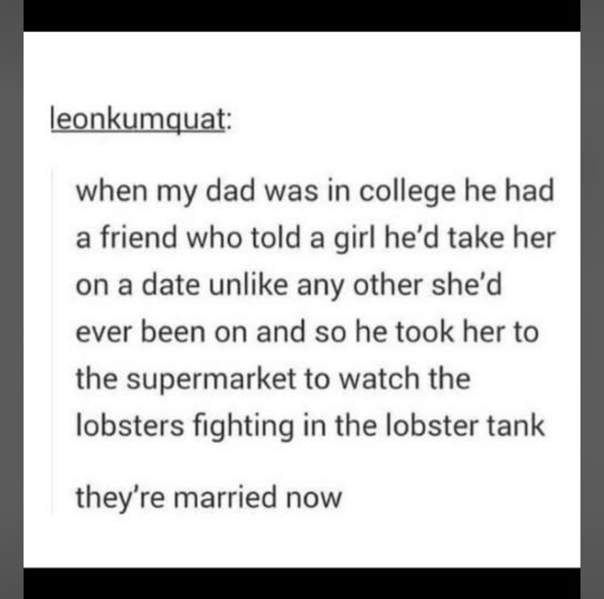 Who knew watching lobsters fight at the supermarket could lead to marriage?