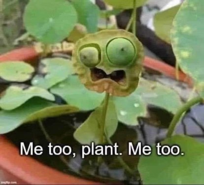 When you find a fellow creature of the abyss.