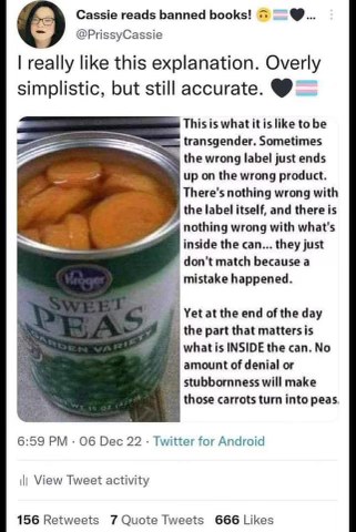 This tweet using a can of sweet peas with carrots inside to explain being transgender is actually kinda brilliant tbh