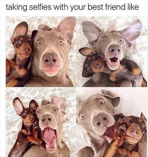 When your friend insists on taking a million selfies and none of them are good