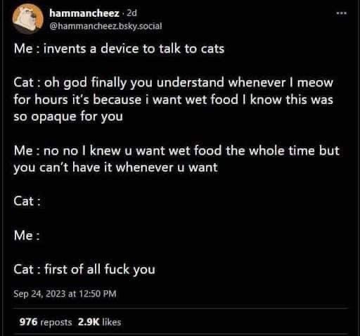 This is exactly how I imagine cats would react if we could actually talk to them. Pure chaos.
